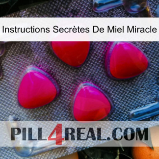 Instructions Secrètes De Miel Miracle 13